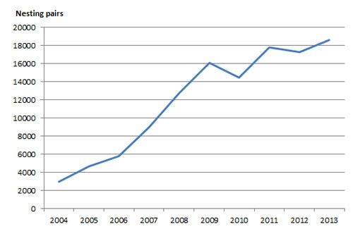 Total number of cormorant nests 2013